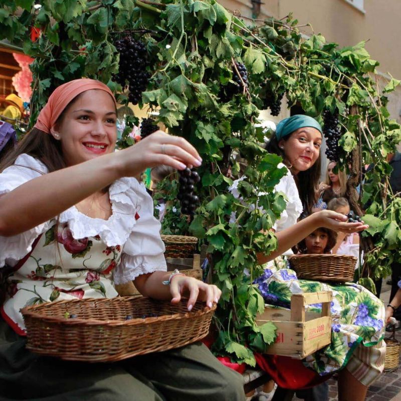 Bardolino Trauben- und Weinfest